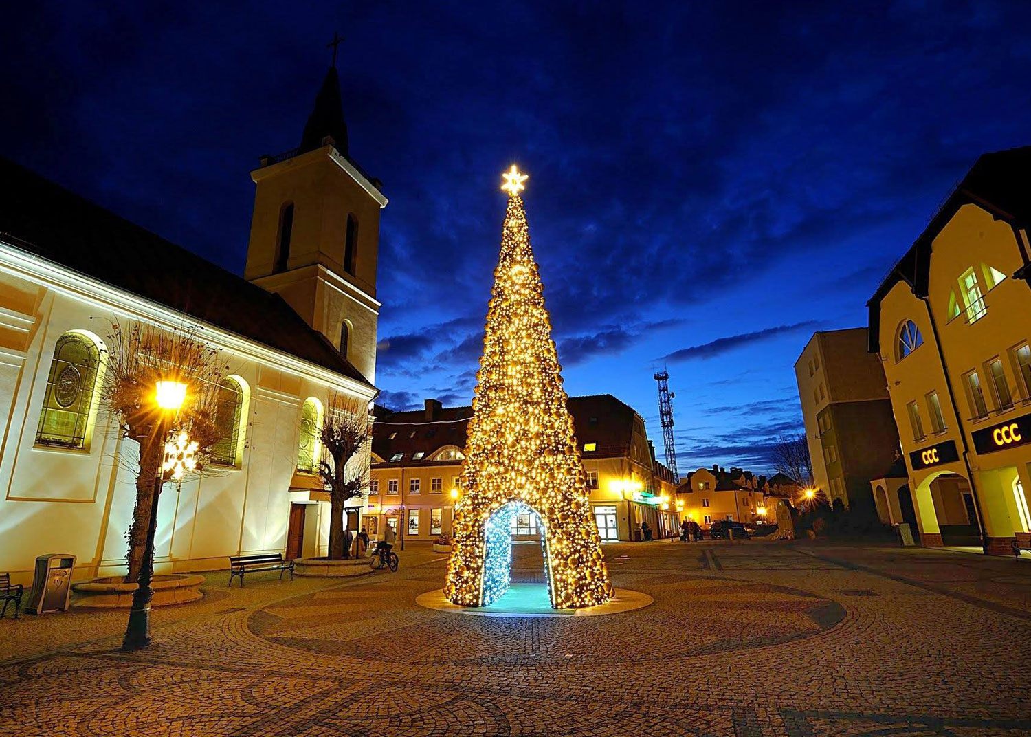 Kerstbomen
